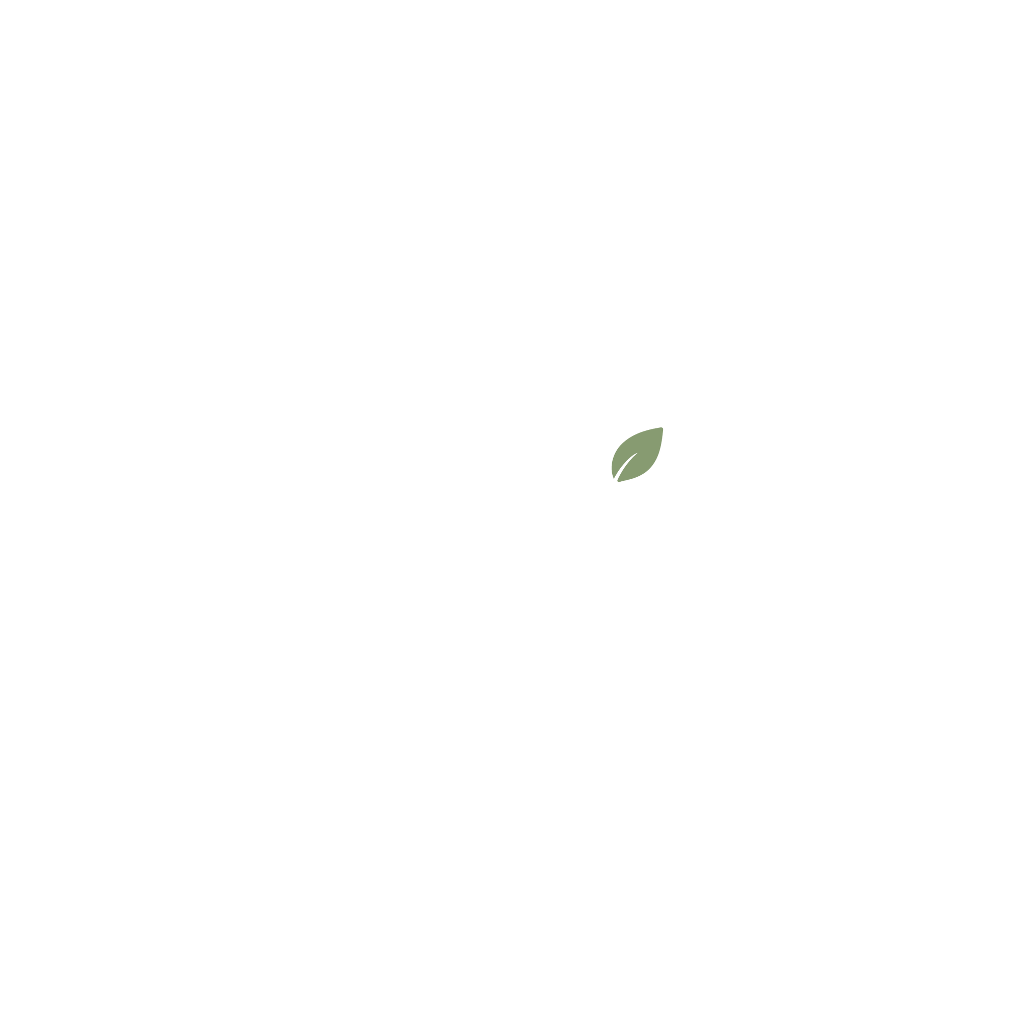 DocVites approved white wordmark with sage green leaf