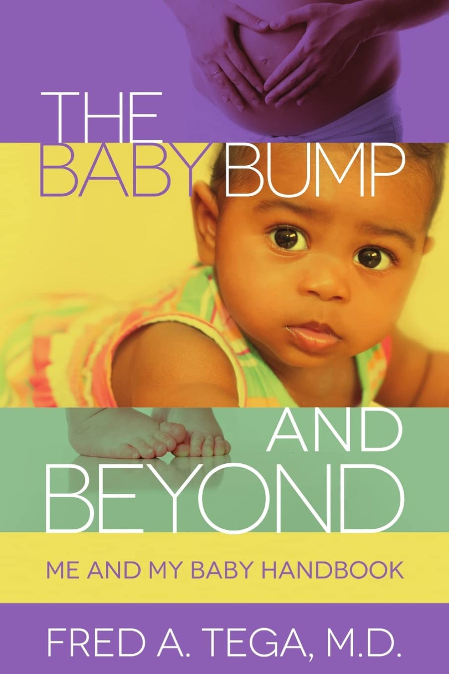 Cover of The Baby Bump and Beyond by Dr. Fred Tega