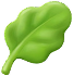 Folate (B9)